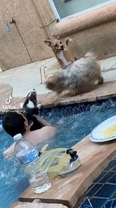 Random Videos on Reels