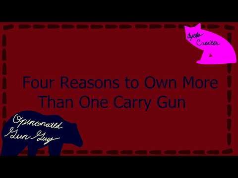 Four Reasons to Own More Than One Carry Gun