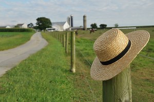 TLC's 'Suddenly Amish' features Michigan native seeking a simpler life