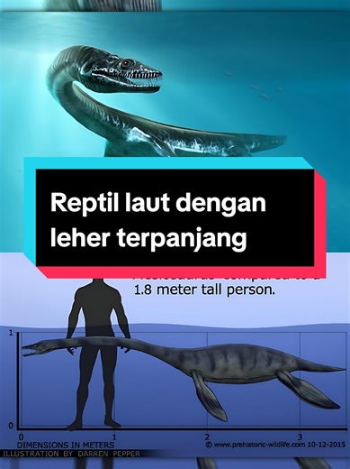 Plesiosaurus: Reptil Laut Terpanjang yang Unik