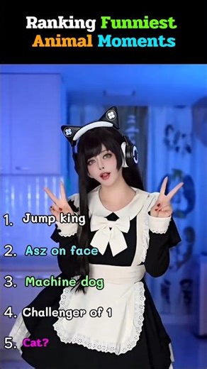 Ranking the BEST animal moments