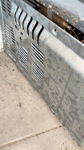 Effective Pest Control Services in Pretoria and Jhb