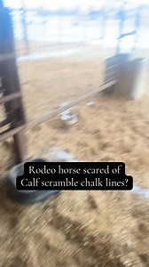 312K views · 4.2K reactions | Sometimes problems require simple solutions. Bet this one is already over chalk line fright, Jackie Hobbs-Crawford  | The Breakaway Roping Journal | Facebook