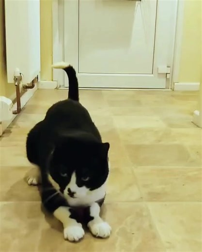 1.9K views · 90 reactions | Hector's House Residents on Reels | Facebook