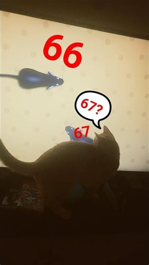 #cat #animatin #minecraft #animatin #cute #funny #cat #30januari2023 #minecraft