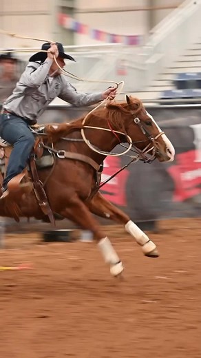 Video courtesy of @alaynapearleimagery #calfroping #RopingFuturitiesofAmerica #tiedownroping #rodeo