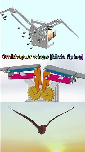 ornithopter wings mechanism (birds flying)#shorts