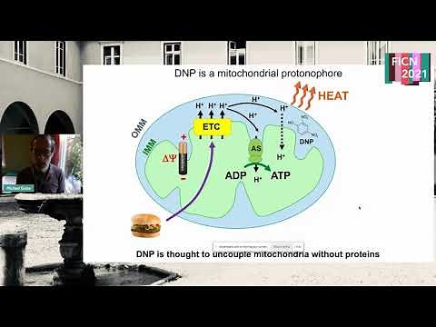 How mitochondrial uncouplers induces proton leak - Michael Grabe
