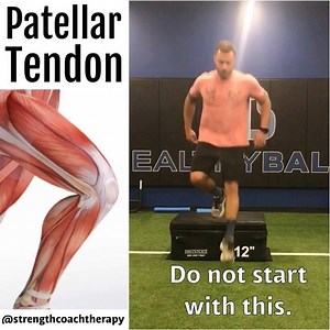 3.4K views · 122 reactions | Knees over toes! — Where did this myth...