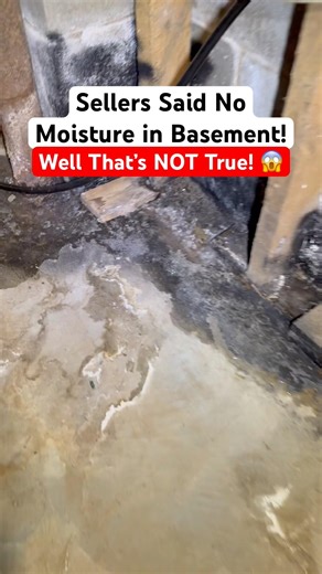 Sellers of the House are NOT Telling the Truth! 💦 Nightmare Basement Inspection #shorts