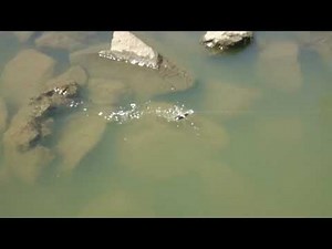 FD-Custom baits『FLATBACKER』激シャローリップラップ回避性能