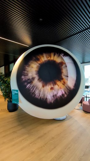 Van 18 november tot 3 december, de Internationale Dag voor mensen met een Beperking, duiken in ARhus en AZ Delta reusachtige oogballen op. Via deze opvallende kunstinstallatie ‘Annoying Eyes’ vragen we aandacht voor mensen met een visuele beperking. Bij de oogballen vind je foto’s die tonen hoe mensen met een oogaandoening de wereld werkelijk waarnemen. Op woensdag 3 december kan je, onder begeleiding van twee slechtziende gidsen, deelnemen aan een bijzondere belevingswandeling door de stad. Je 