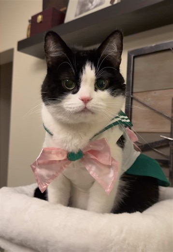 Jupiter Power Make-up Transformation in Sailor Moon Cosplay