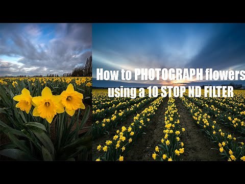 How to PHOTOGRAPH flowers with a 10 STOP ND FILTER