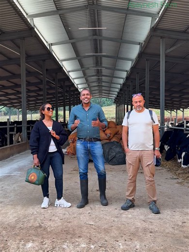 Fresh milk, green fields, and our first guests—farm tourism starts now!#abayneshfarm #ethiopian_tik_tok🇪🇹🇪🇹🇪🇹🇪🇹 #habeshatiktok #fyp #viral
