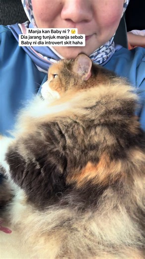 Bulan Bintang Fitting Experience for Raya 2026