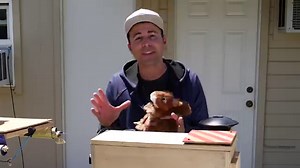 Former NASA Engineer Devises an Epic Obstacle Course to Challenge His Backyard Squirrels