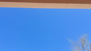 New video of a UAP seen yesterday in Mesa, AZ. https://www.reddit.com/r/UFOs/comments/1ji3fa5/anyone_know_what_this_is/ | Disclosure Party