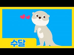 수달🦦 | 귀여운 얼굴의 포식자😎 | 물속 장기자랑 | 바다동물 | 자연관찰 | 바다생물 | 로티프렌즈 | LOTTY FRIENDS