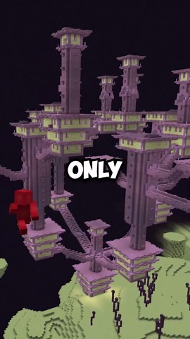 Massive Minecraft end city seed found