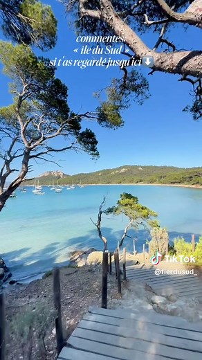 Île de Porquerolles – Guide pratique pour visiter le Sud de la France