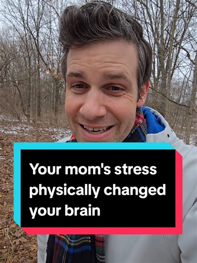 Impact of Prenatal Stress on Brain Development