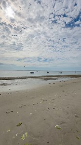 20K views · 1K reactions | Chatham - Claflin Landing (Next to Chatham Bars Inn) Cape Cod - Massachusetts | Cape Cod, Massachusetts | Facebook