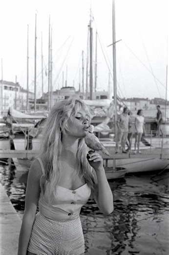 Brigitte Bardot : Une Légende du Cinéma