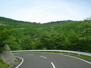 4x 【林道ドライブ】八戸川内大規模林道1 (穴沢・上外山区間)