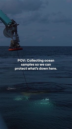 Every rock tells a story. Collected from the slopes and summits of seamounts, deep sea rock samples help scientists reconstruct the geological history of the ocean floor. They reveal how these underwater mountains formed, whether they’ve been volcanically active, and how they influence local biodiversity and ocean circulation. Studying deep sea rocks helps scientists understand everything from tectonic activity to how habitats form for deep sea life. It's one more piece of the puzzle in understa
