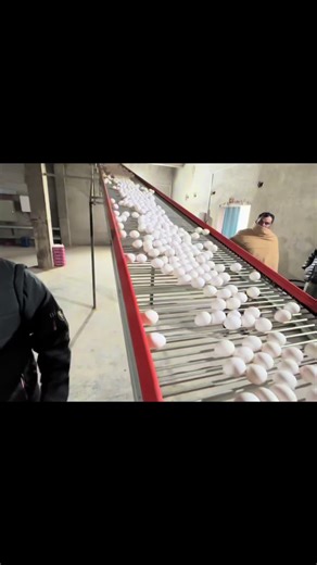 Explore Dairy Farming Practices in the UK