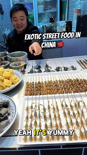 Exotic Street Food in China 🇨🇳 #wiredfood #chinesfood #foodinchina #china #fizzasalah