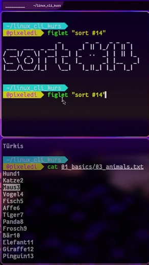 sort - Linux CLI daily