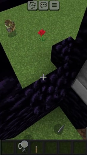 ()/€ minecraft one nether portal block