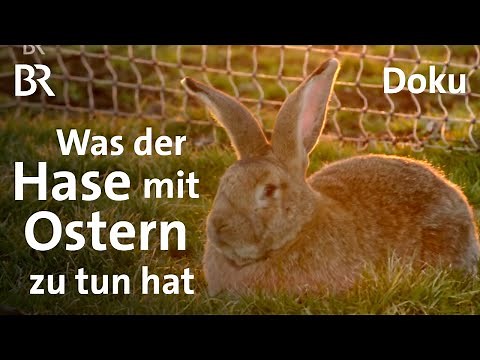 Jesus, Ei und Osterhase: Bräuche zu Ostern | Sehen statt Hören | Doku | BR
