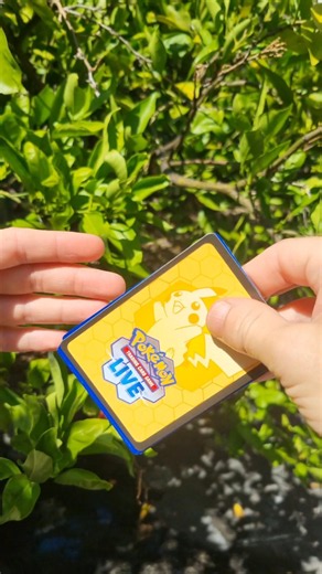 NEW Pokemon Chaos Rising Opening 😱 #pokemon #tcgpokemon #pokemoncards #pokemontcg