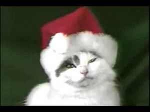 Jingle Cats: What child is this