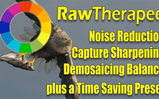 [生肉]【RawTherapee】降噪、捕图加锐和去马赛克 一个节省时间的预设