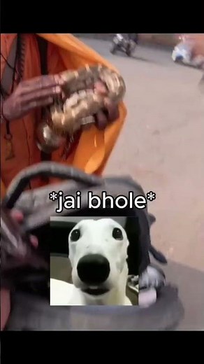 India is pretty Unexpected pt.1 💔🥀 #meme #bikers #funny ( bikers, bike, meme, funny, )