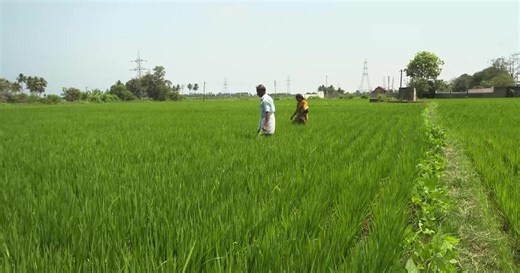 India challenged with feeding its people amid climate change