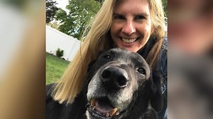 Woman adopted senior dog that was chained for 15 years 💖 Follow us on Instagram: instagram.com/geobeatsanimals | GeoBeats Animals