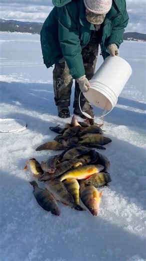 Who is ready for some JUMBOS??? Cascade Ice Fishing Outfitters | Idaho Master Angler