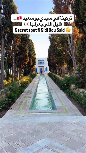 تركينة مخبية في Sidi Bou Said 🇹🇳… قليل برشا اللي يعرفوها 😳 Endroit secret, vue incroyable 😍 إذا تحب تكتشف بلايص كيف هكا في Tunisia تابع الصفحة 🔥 Comment “location” نعطيك البلاصة 📍 #sidibousaid #tunisia #hiddengems #vibe