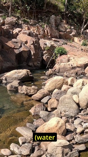 Jeff Wilton connects to a sold sooty grunter in tight country, fishing a TT Vortex spinnerbait in Tropical Punch colour... and the battle begins. Bring it on! 🎥 @jeffwilton83 The TT Vortex spinnerbait is a favourite for Aussie anglers, with its compact frame, quality components and dynamite colour range making it a go-to on the bass, golden perch, redfin, sooty grunter and more. Available in a comprehensive selection of weights including 1/8oz, 1/4oz, 3/8oz, 1/2oz and 5/8oz, to cover all applic