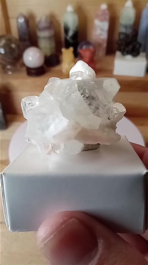 Apophyllite crystal cluster with reflective natural faces #zeolite #crystalcollection #minerals