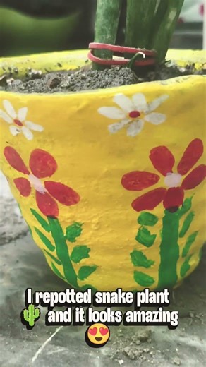 DIY Clay Pot + Snake Plant 🪴 | Easiest Indoor Plant Setup 🌿 #shorts