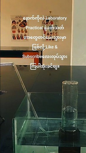 Preparation of gas : Chemicals-H2O2 solution,MnO2,Mg ribbon.#laboratory #gas#preparation#experiment