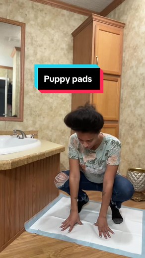 Effective Puppy Pads for Potty Training Dogs