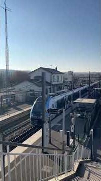 A Calm Day Above the Tracks | Peaceful Train Station Ambience