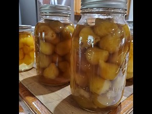 How to Preserve Fresh Figs for Long-Term Storage - StuffSure